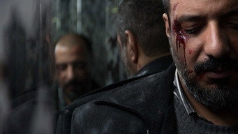 13 (2014)