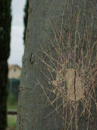 The Dying Soldier of Les Milles poster