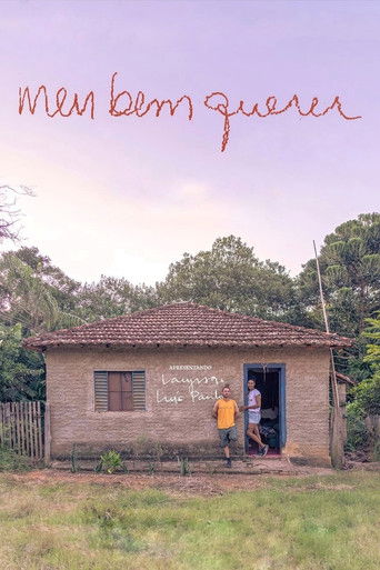 Meu Bem Querer poster