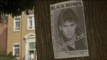 #13 Black Roses