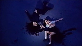 Візія черепахи (1991)