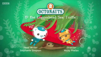 The Loggerhead Sea Turtle
