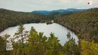Notre vraie nature - S1E01