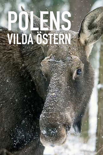 Polens Osten - Zwischen Wisenten, W&ouml;lfen und Elchen (1970)
