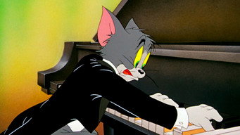 The Cat Concerto
