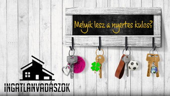 Ingatlanvadászok (2025- )
