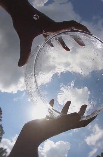 A L L U V I A L poster