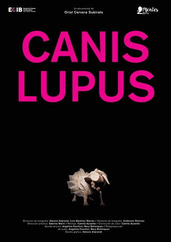 Canis lupus poster