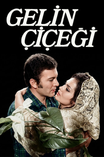 Poster 2