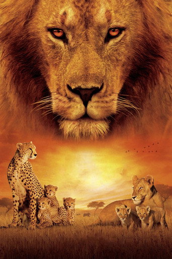 African Cats poster