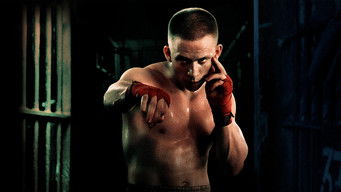 Galeria 2 - Una oración antes del amanecer