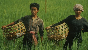 Rice People (1994)