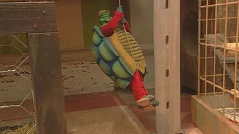 Episode 77 — Episode 77