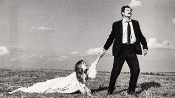 The Immortal Love (1966)