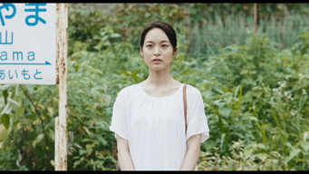 Summer Blooms (2017)