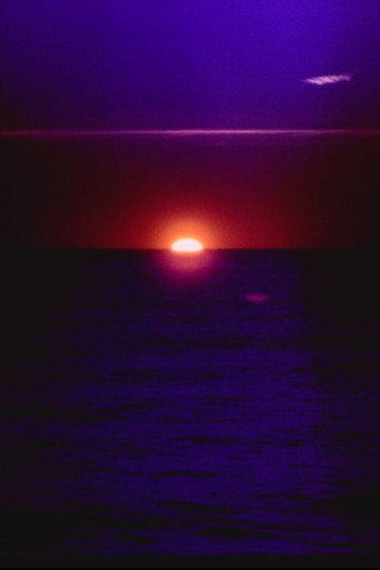 solar wave (2026)