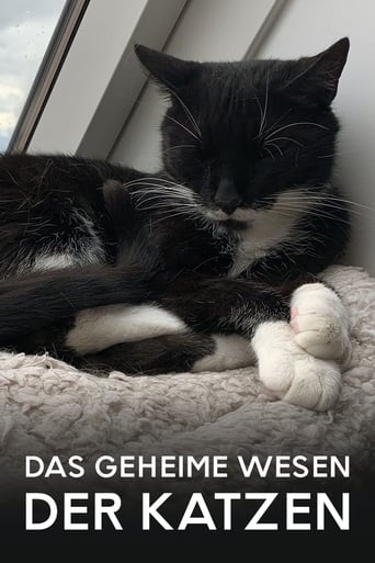 Poster för Das geheime Wesen der Katzen