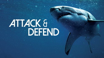 Attack and Defend (2015-2016)