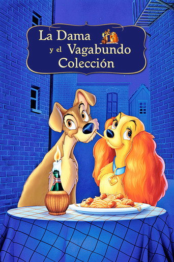 La dama y el vagabundo - Colección