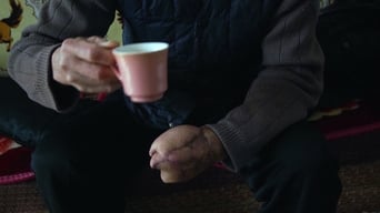 Пластиковий Китай (2016)