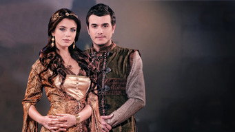 Yamak Ahmet (2011-2012)