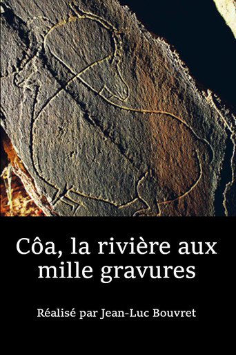 Côa, The River of a Thousand Engravings poster