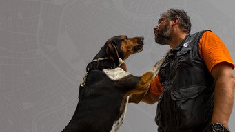 Pet Seekers (2019- )