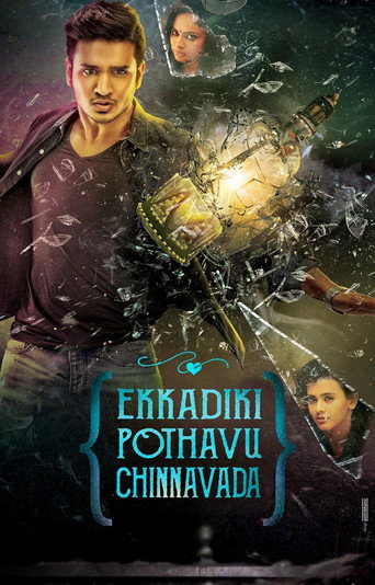 Ekkadiki Pothavu Chinnavada (2016)