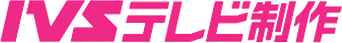 IVS Television