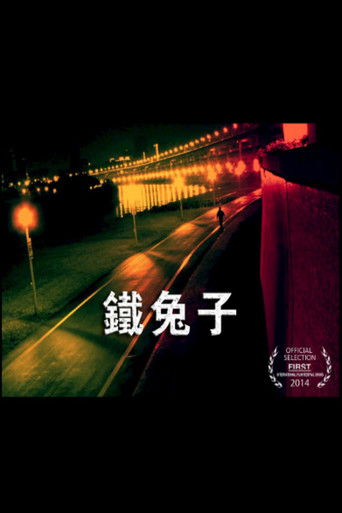 To Live Invisibly (2013)