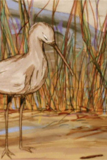 The Way Of The Birds