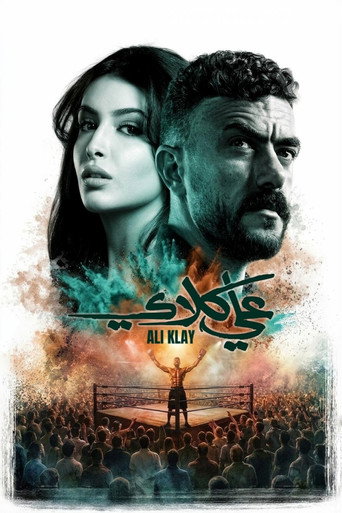 Poster 8