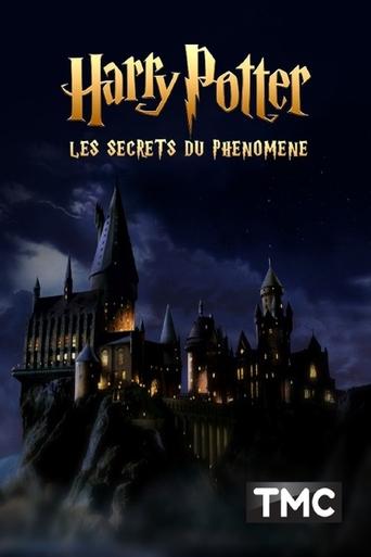 affiche Harry Potter : les secrets du phénomène poster film Harry Potter : les secrets du phénomène