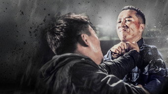 Galeria 2 - Kung Fu jungle