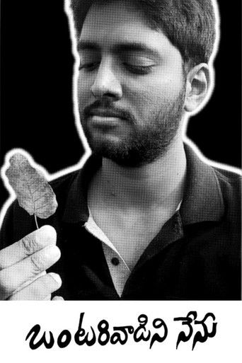 Ontarivaadini Nenu poster