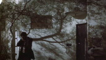 #49 The Long Goodbye
