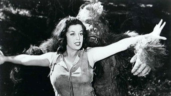 Untamed Mistress (1956)