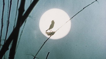 Соловей імператора (1949)