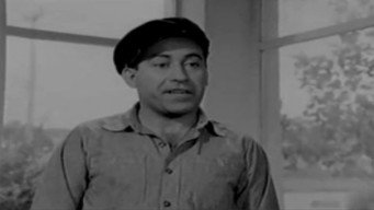 O trellaras (1963)