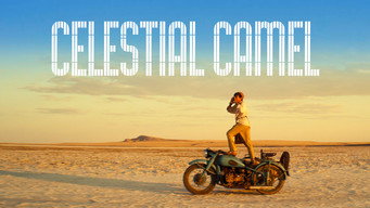 Galeria 2 - Celestial Camel