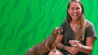 #4 Sam's Zookeeper Challenge