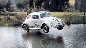 #35 The Love Bug