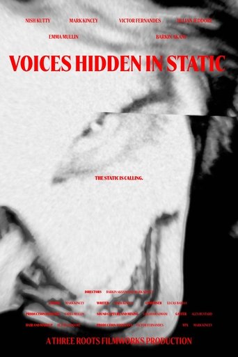 Voices Hidden in Static (2025)