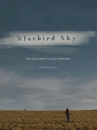 Bluebird Sky