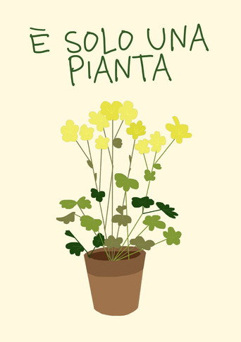 È solo una pianta
