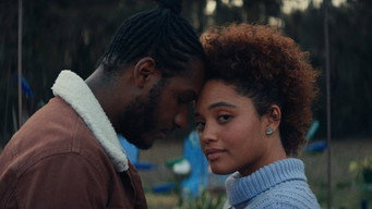 The Young Wife (2023)