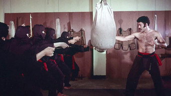 Ninja Assassins (1976)