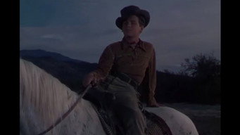 #15 Cattle Drive