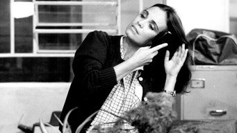 Malu Mulher (1979-1980)