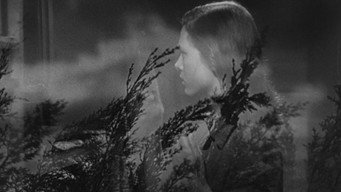 #15 They Live by Night